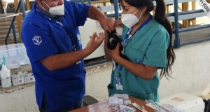Municipio de Ovalle realizó exitoso operativo de vacunación felina