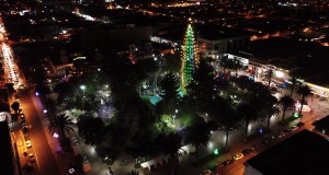 En Ovalle el próximo 2 de diciembre se encenderá el Árbol de Navidad natural más grande de Chile