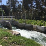 CNR llama a organizaciones y a la pequeña agricultura a incorporar tecnologías para mejorar gestión del riego