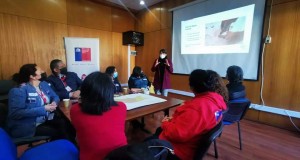 Mujeres de la región dialogan sobre sus necesidades y trazan ideas durante “Encuentros Territoriales Feministas”