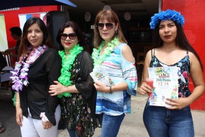 11.1.18 hol verano