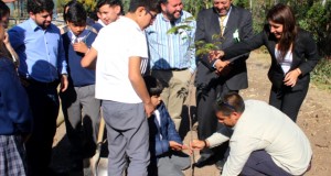 Estudiantes de Monte Patria mejoran sus espacios públicos con flora nativa