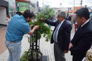 12.11 Ataque a arboles