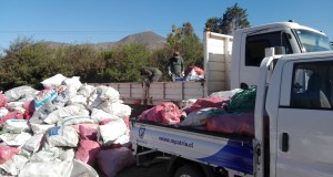Monte Patria recicló 112 mil kilos de vidrio