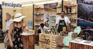 Las comunas  de los  Valles del Limarí invitan a turistas  a conocer los encantos del territorio