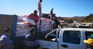 En Ovalle 100 familias de Alcones y Las Torcazas fueron favorecidas con ayuda para enfrentar la sequía