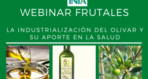 Invitación nuevo Webinar: La industrialización del olivar y su aporte en la salud