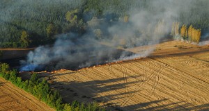 CONAF restringe quemas agrícolas controladas, en comunas con cuarentena