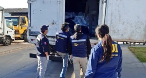 PDI INCAUTA MAS DE 12 TONELADAS DE PULPO EN VARIAS REGIONES DEL PAIS