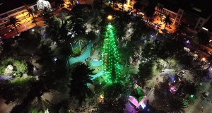 Este martes 1 de diciembre se encenderá el Árbol de Navidad natural más grande del país