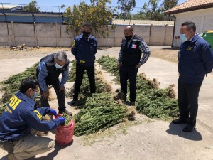 3.12 PDI OVALLE DECOMISO MONTE PATRIA