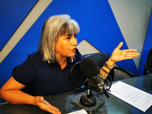 11.1 seremi mujer