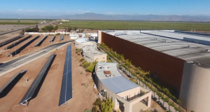 Compañía Pisquera de Chile instaló paneles solares en planta de Ovalle
