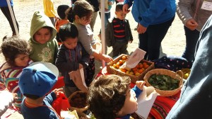 5.2 Alimentación saludable 1