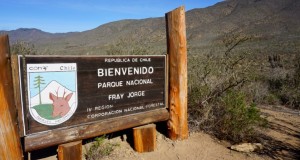 Conaf Anuncia reapertura gradual de Parques, Reservas y Monumentos en la Región de Coquimbo