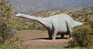 EN EL MONUMENTO NATURAL PICHASCA  DE SAN PEDRO, SE REALIZA UN CATASTRO PALENTOLOGICO