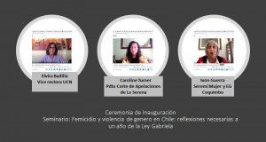 Destacan masiva participación en seminario sobre Ley Gabriela y anuncian Libro sobre exponencias