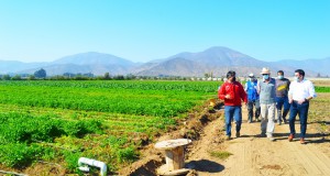 Refuerzan el llamado al sector Silvoagropecuario para participar en el VIII Censo Agropecuario y Forestal