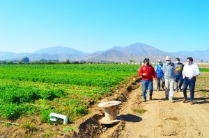 30.4 censoagropecuario2