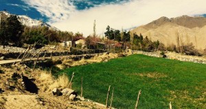 CEAZA pronostica heladas y bajas temperaturas para valles de la Región de Coquimbo