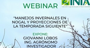 Inia Invita a nuevo Webinar: «Manejos invernales en nogal y proyecciones de la temporada siguiente»