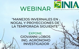 2.7 webinar 5 de julio