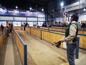 11.8 Torneo Comunal de Rayuela de Ovalle