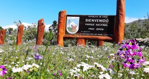 En la Comuna de Ovalle Parque Nacional Bosque Fray Jorge recibe recertificación como Reserva Starlight