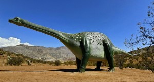 El Monumento Natural Pichasca a reabierto sus puertas para la atención de visitantes en Río Hurtado.