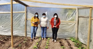 Desarrollo Social y Familia junto a FOSIS incentivan la auto provisión de alimentos en familias de la región