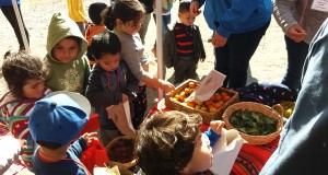 Desde la Junji Coquimbo Entregan consejos para cuidar la alimentación de niños y niñas durante fiestas patria