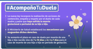 Promulgan Ley Dominga para entregar dignidad y acompañamiento a familias que sufren duelo gestacional