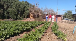 Pequeños Productores y Comunidades Agrícolas afectadas por la sequía disponen de $3 mil millones para repostular sus proyectos de riego