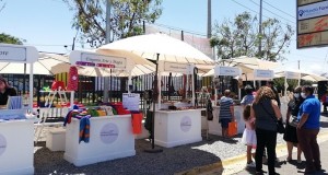 Pequeños Comerciantes de Ovalle podrán vender sus productos en Feria Patio de Emprendedores