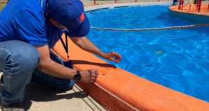 #Verano: Seremi de Salud Coquimbo Intensifica fiscalización de medidas sanitarias en piscinas de la región.