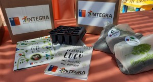 Para cultivar su propia huerta en el hogar 1.600 párvulos de Fundación Integra reciben set