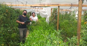 Programa de Riego para Personas Indígenas permitirá financiar 23 proyectos para un uso eficiente del agua