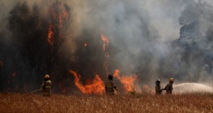 Onemi declara Alerta Temprana Preventiva para la Región de Coquimbo por amenaza de incendio forestal