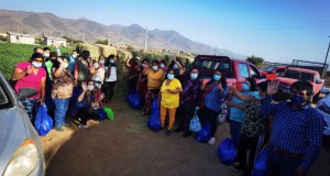 Sociedad Agrícola del Norte entrega ayudas a crianceros de Coquimbo y se gestiona optimización en la entrega de los descartes de verduras