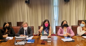 Comisión de mujeres de la cámara de diputados y diputadas es presidida por la Diputada de la Región Carolina Tello