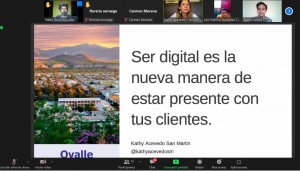 17.3 Taller virtual Estrategia Digital Pyme Digital Ovalle