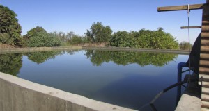 Comisión Nacional de Riego lanza concurso piloto para apoyar a regantes de Coquimbo y Atacama con nuevas obras de tecnificación