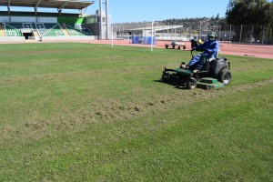 11.5 Avance de resiembra Estadio Municipal de Ovalle (2)