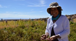 CNR invita a mujeres y pueblos originarios de Coquimbo y Atacama a participar en concurso nacional por más de $1.000 millones