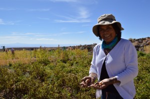 23.5 Pequeña agricultora