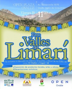 17.8 expo valles limari