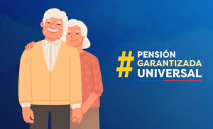 31.8 pension gU