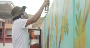 Arte e identidad: Casa de la Cultura de Punitaqui inaugura mural que plasma la flora y fauna local
