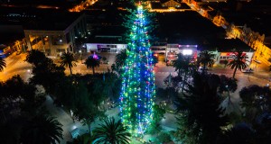 En la Plaza de Armas de Ovalle, se encendió el Árbol de Navidad natural más grande de Chile.