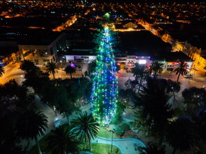 Árbol de Navidad de Ovalle (2)